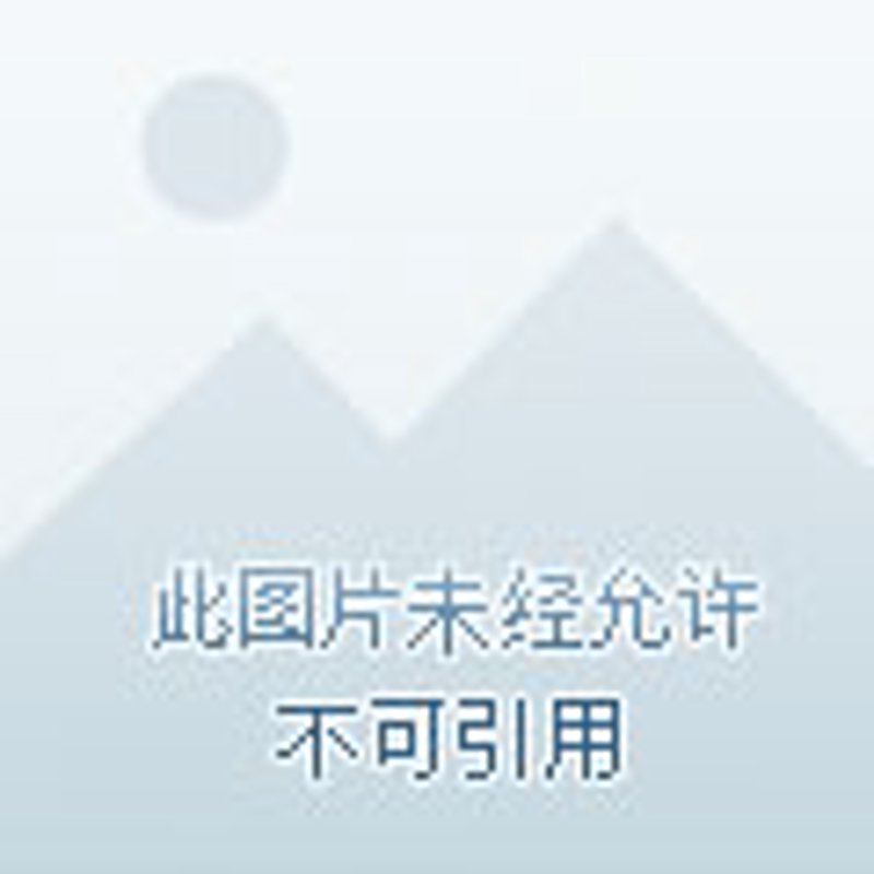 检验检疫服务在哪个行业？让我们一起来探究！